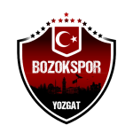 Yozgat Bld Bozokspor